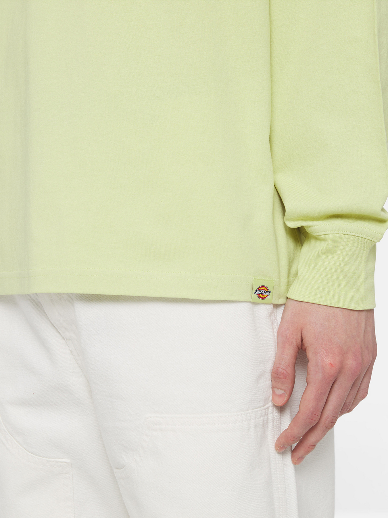 Свитшот Dickies Timberville  Ls модель DK0A4YRBH141 Фото