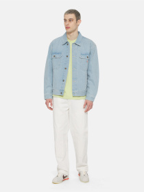 Худі та світшоти Dickies Timberville Ls модель DK0A4YRBH141 Фото
