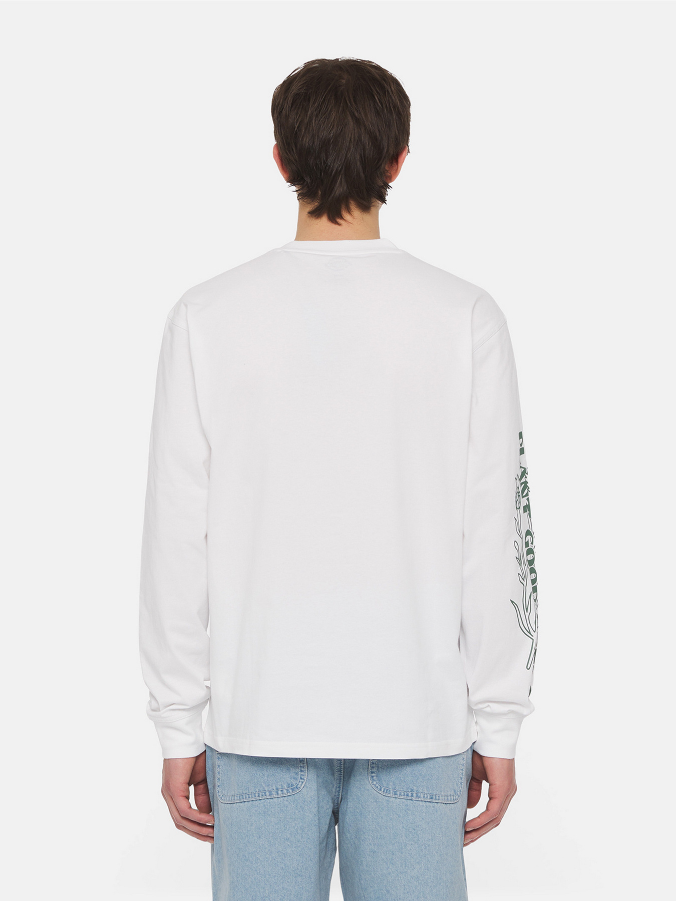 Світшот Dickies Timberville  Ls модель DK0A4YRBWHX1 Фото