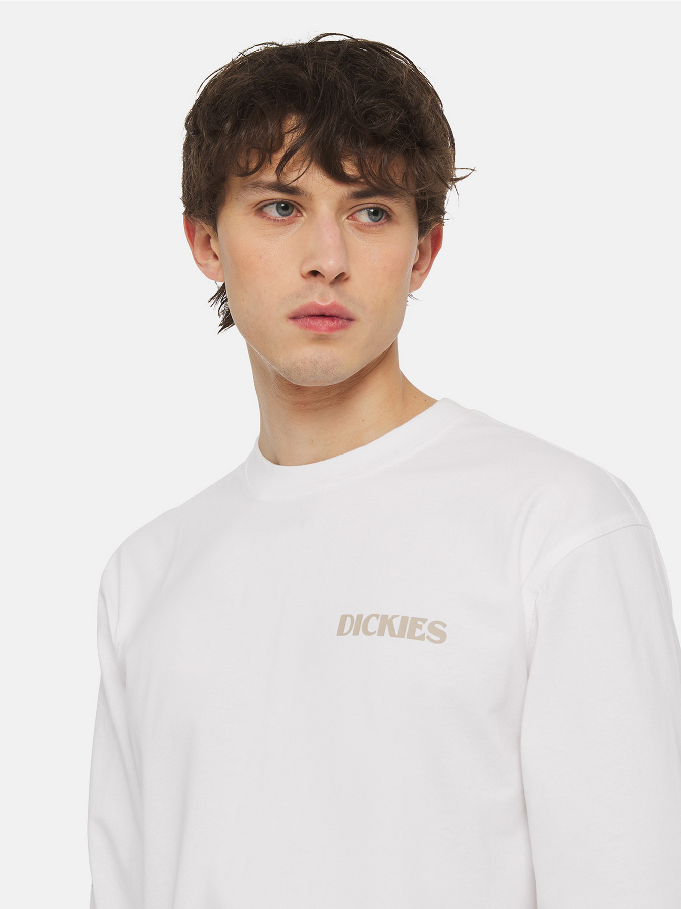 Світшот Dickies Timberville  Ls модель DK0A4YRBWHX1 Фото