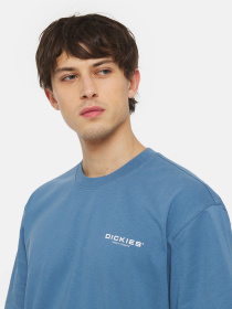 Футболка Dickies Akefield Ss модель DK0A4YRCH171 Фото