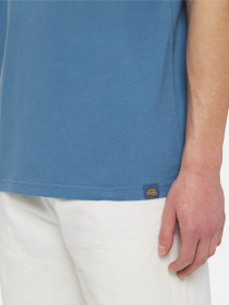 Футболка Dickies Akefield Ss модель DK0A4YRCH171 Фото