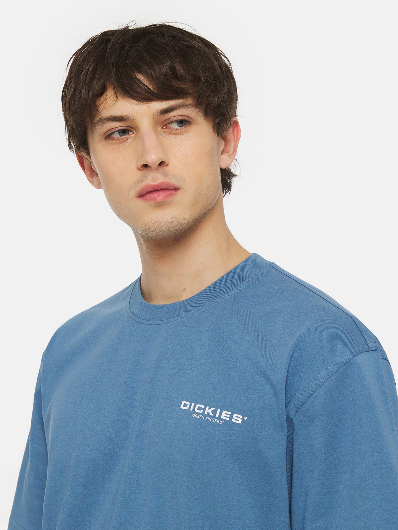 Футболка Dickies Akefield Ss модель DK0A4YRCH171 Фото