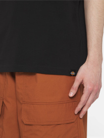 Футболка Dickies Beach  Ss модель DK0A4YRDBLK1 Фото