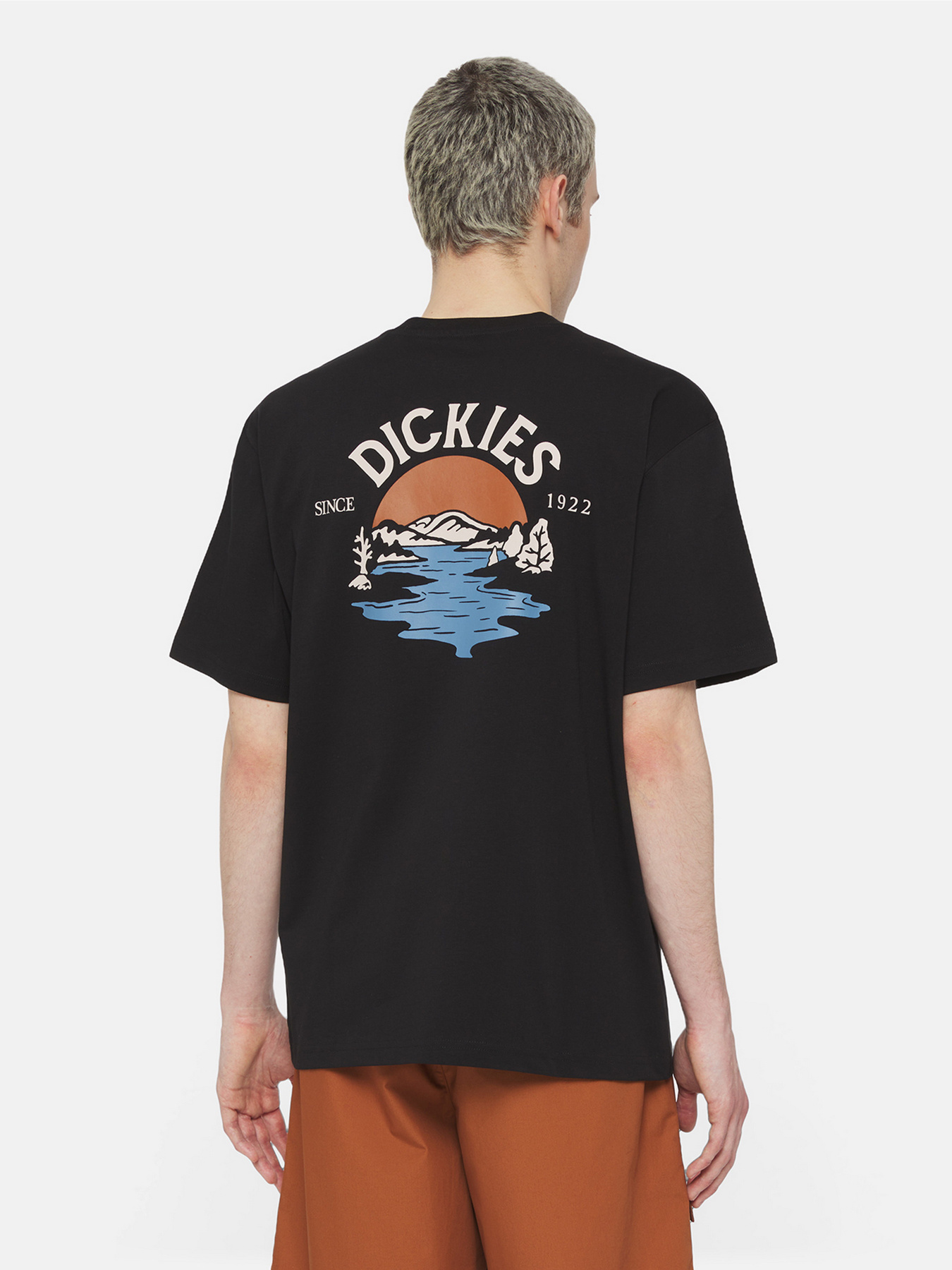 Футболка Dickies Beach  Ss модель DK0A4YRDBLK1 Фото