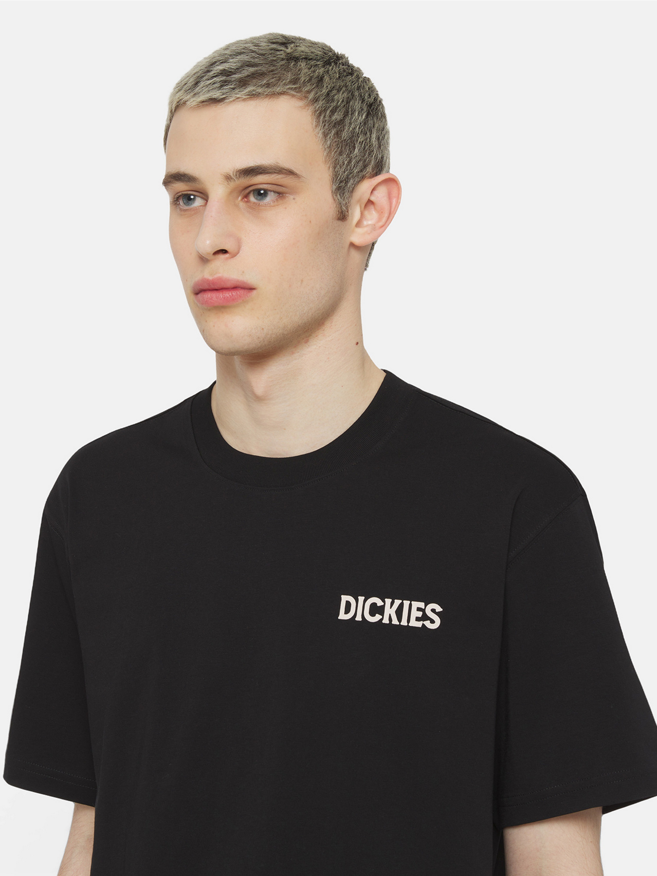 Футболка Dickies Beach  Ss модель DK0A4YRDBLK1 Фото
