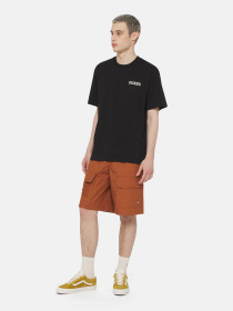 Футболка Dickies Beach  Ss модель DK0A4YRDBLK1 Фото