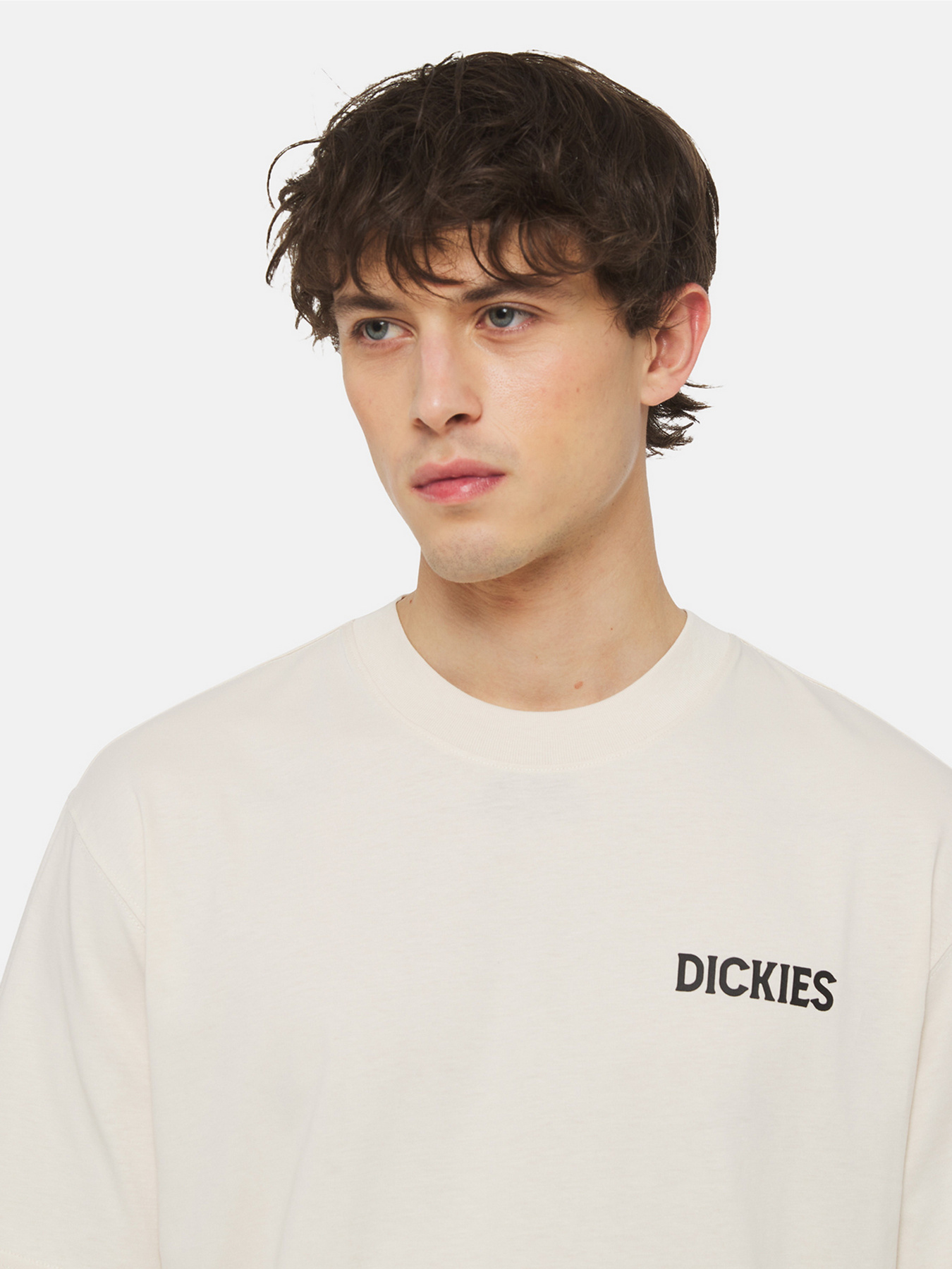 Футболка Dickies Beach  Ss модель DK0A4YRDF901 Фото