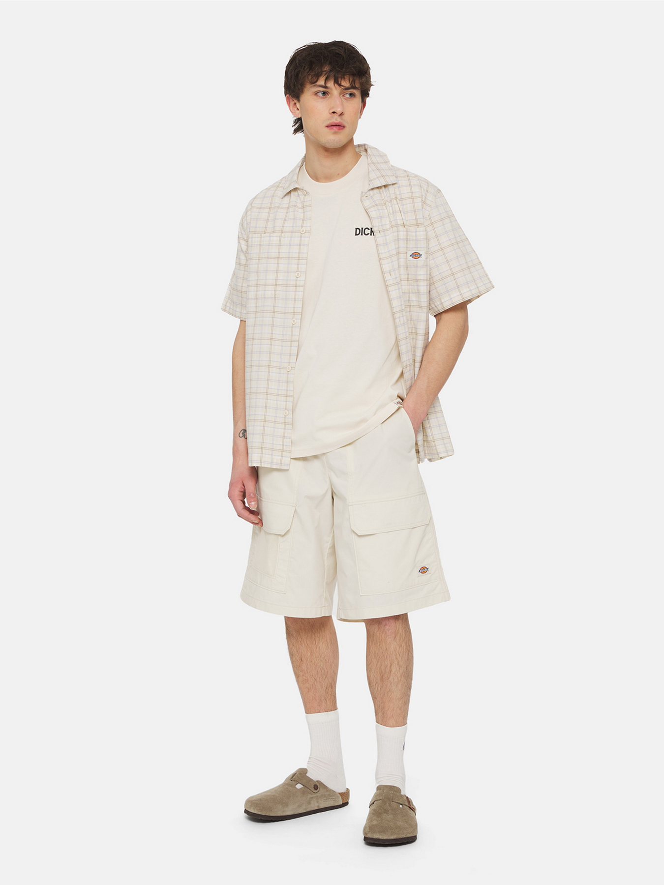 Футболка Dickies Beach  Ss модель DK0A4YRDF901 Фото