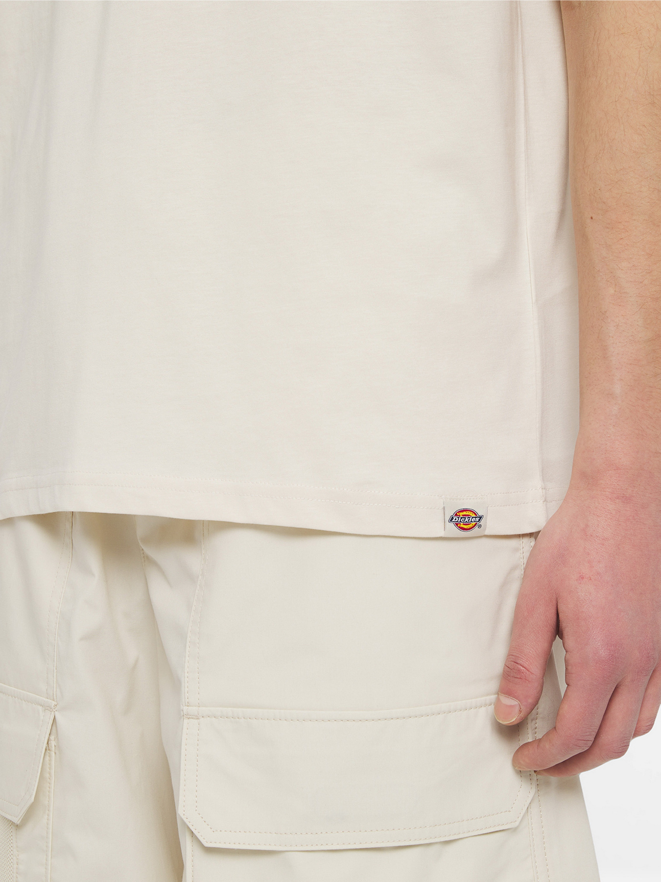 Футболка Dickies Beach  Ss модель DK0A4YRDF901 Фото