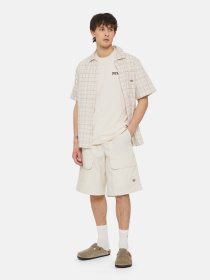 Футболка Dickies Beach  Ss модель DK0A4YRDF901 Фото