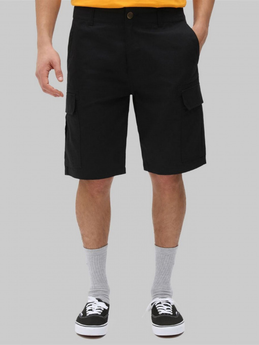 Шорты Dickies Millerville модель DK0A4XEDBLK1 Фото