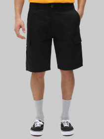 Повседневные шорты Dickies Millerville модель DK0A4XEDBLK1 Фото