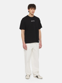 Футболка Dickies Enterprise  Ss модель DK0A4YRNBLK1 Фото