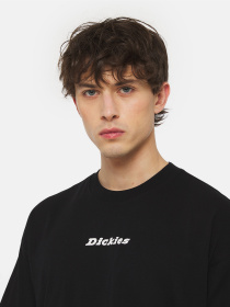 Футболка Dickies Enterprise  Ss модель DK0A4YRNBLK1 Фото