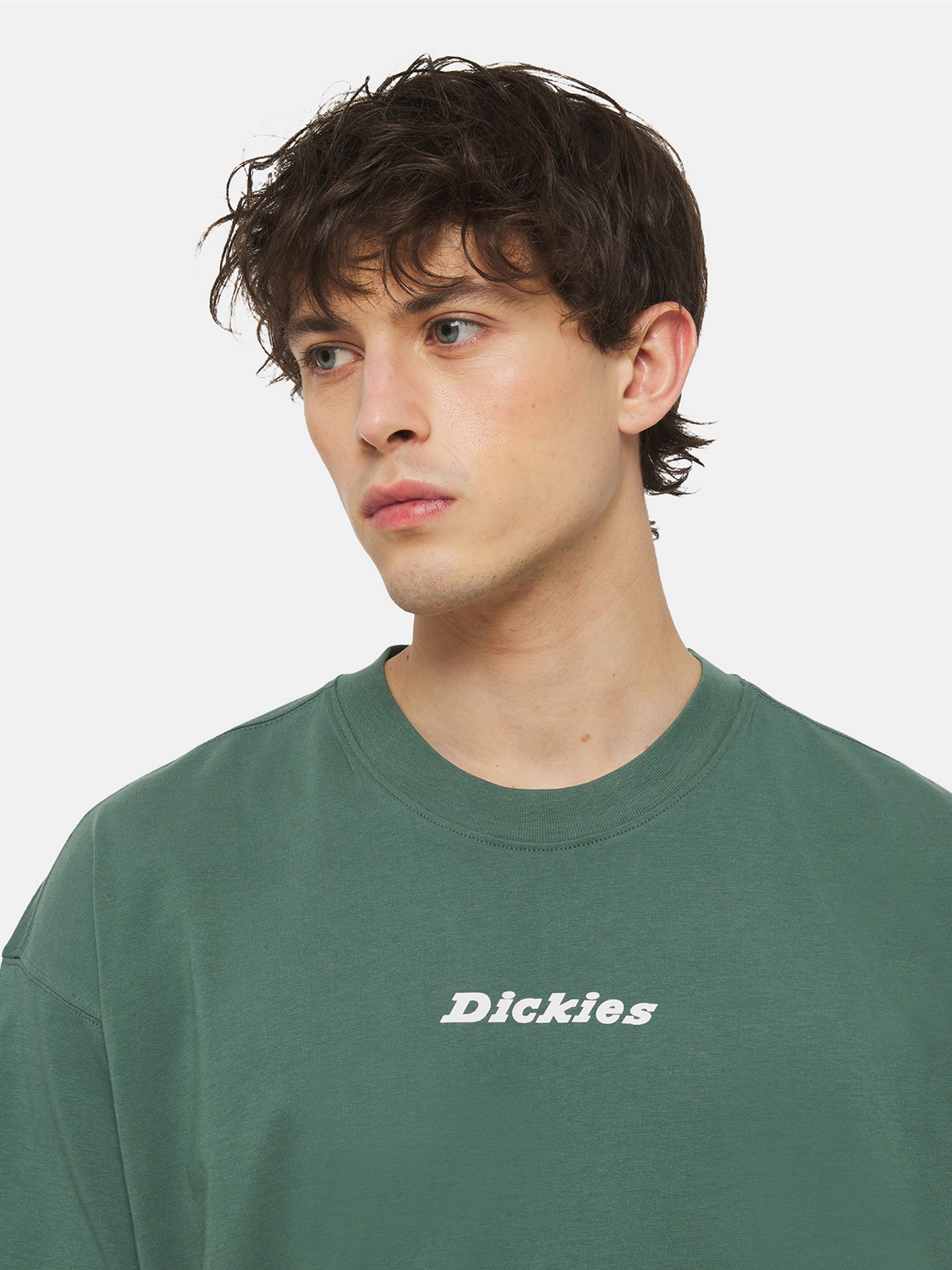 Футболка Dickies Enterprise  Ss модель DK0A4YRNH151 Фото