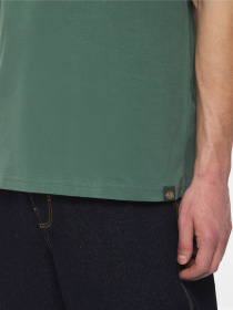 Футболка Dickies Enterprise  Ss модель DK0A4YRNH151 Фото