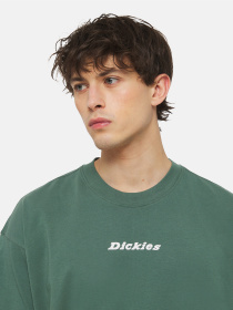 Футболка Dickies Enterprise  Ss модель DK0A4YRNH151 Фото