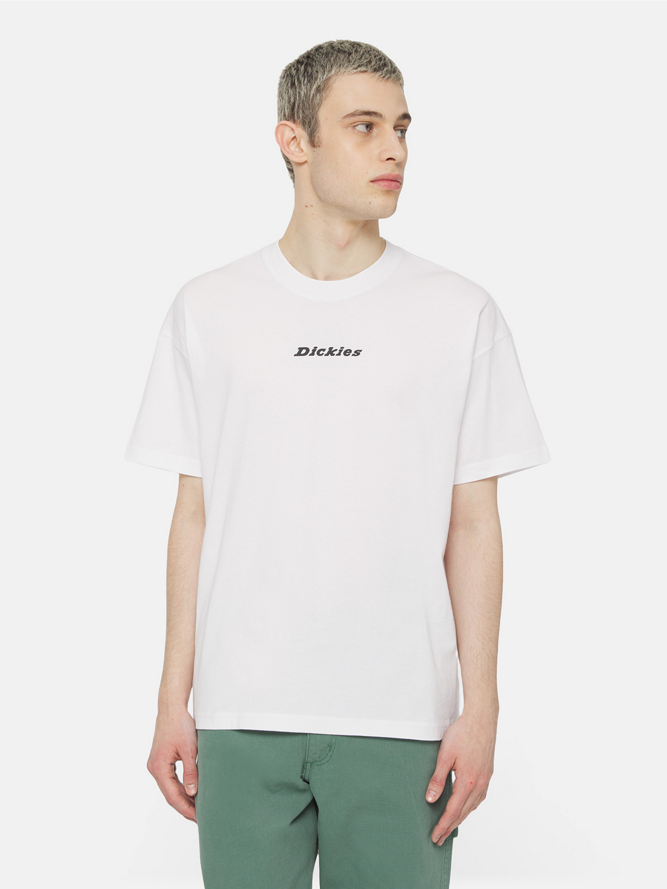 Футболка Dickies Enterprise  Ss модель DK0A4YRNWHX1 Фото