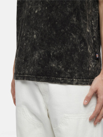 Футболка Dickies Neington  Ss модель DK0A4YROH861 Фото