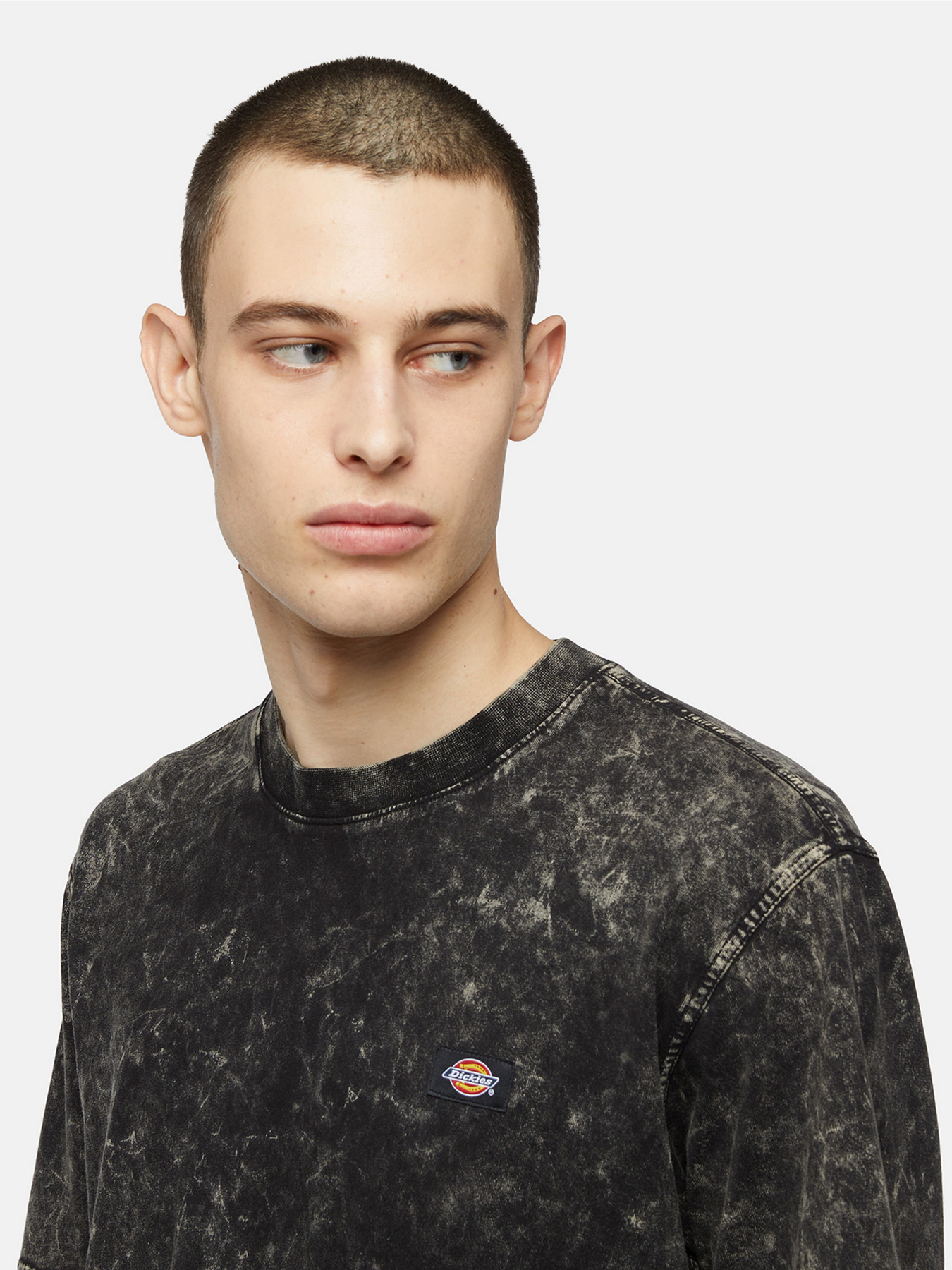 Футболка Dickies Neington Ss модель DK0A4YROH861 Футболка Dickies Neington Ss модель DK0A4YROH861 Фото