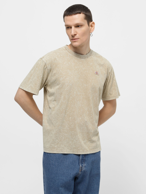 Футболка Dickies Neington Ss модель DK0A4YROJ491 Фото