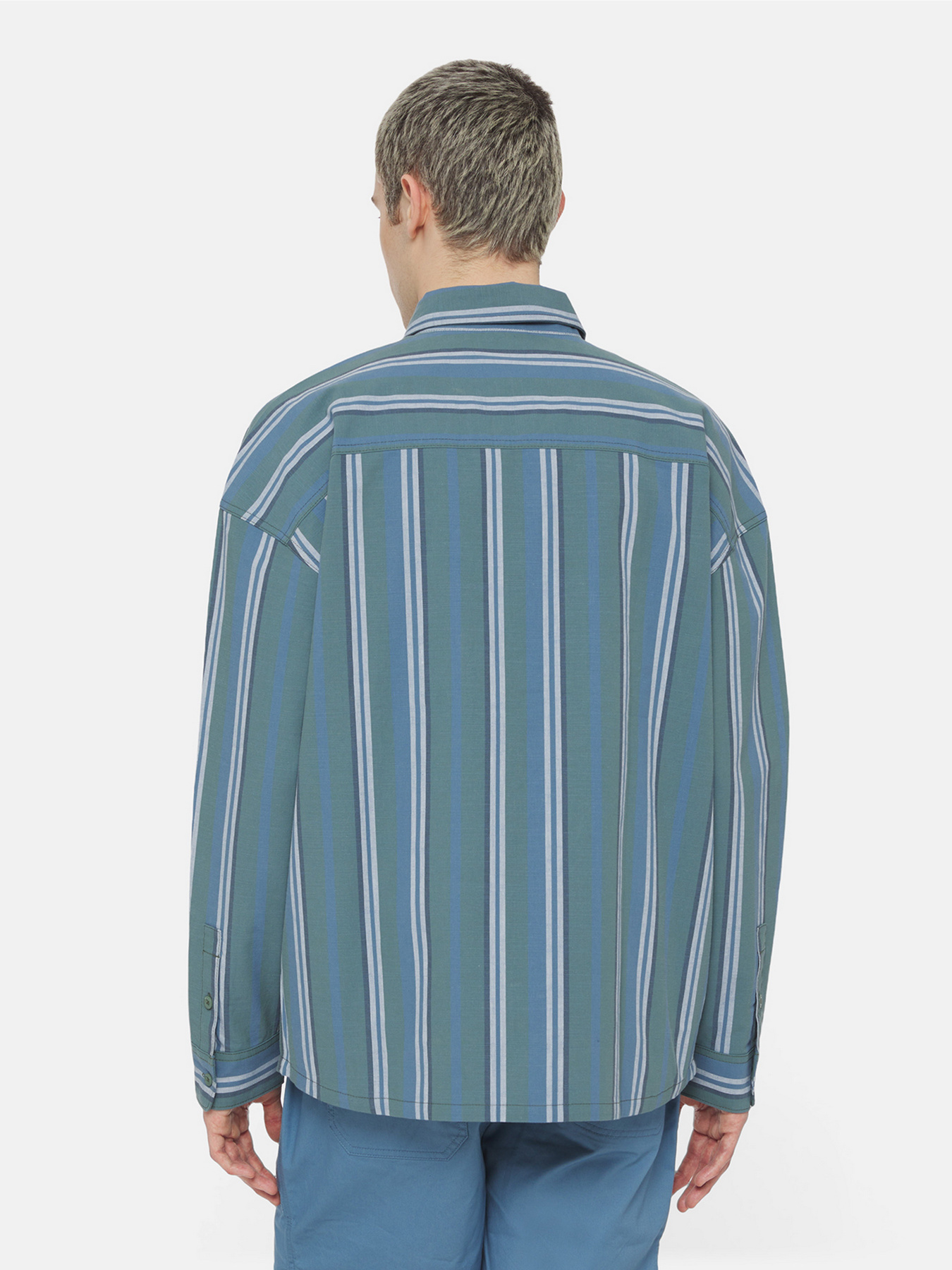 Рубашка Dickies Glade Spring Ls модель DK0A4YS2H681 Фото