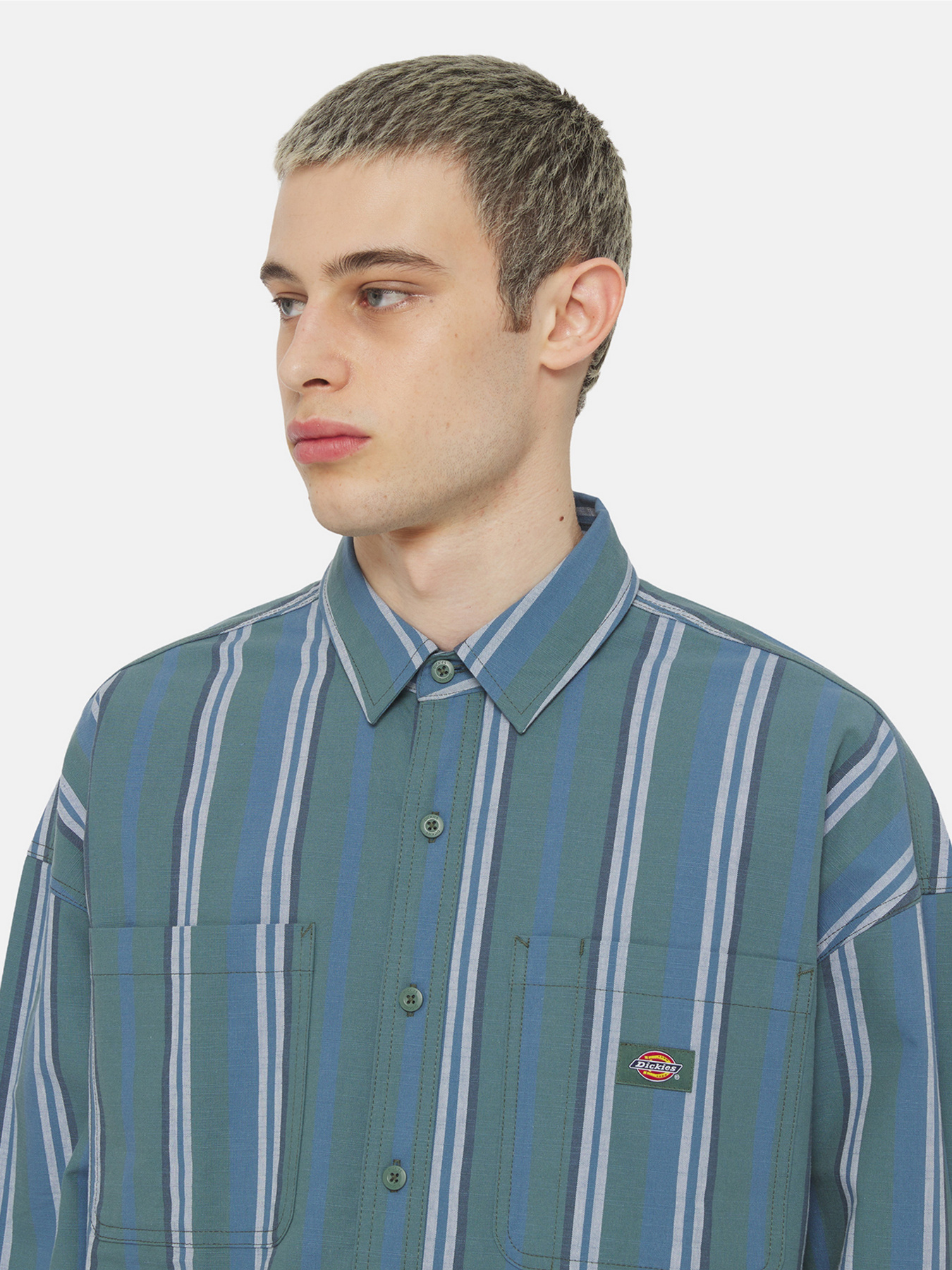 Рубашка Dickies Glade Spring Ls модель DK0A4YS2H681 Фото