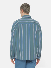 Рубашка Dickies Glade Spring Ls модель DK0A4YS2H681 Фото