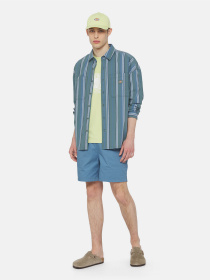 Рубашка Dickies Glade Spring Ls модель DK0A4YS2H681 Фото