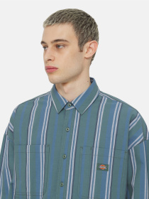 Рубашка Dickies Glade Spring Ls модель DK0A4YS2H681 Фото