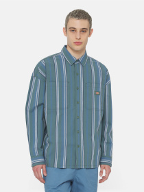 Сорочка повсякденна Dickies Glade Spring Ls модель DK0A4YS2H681 Фото