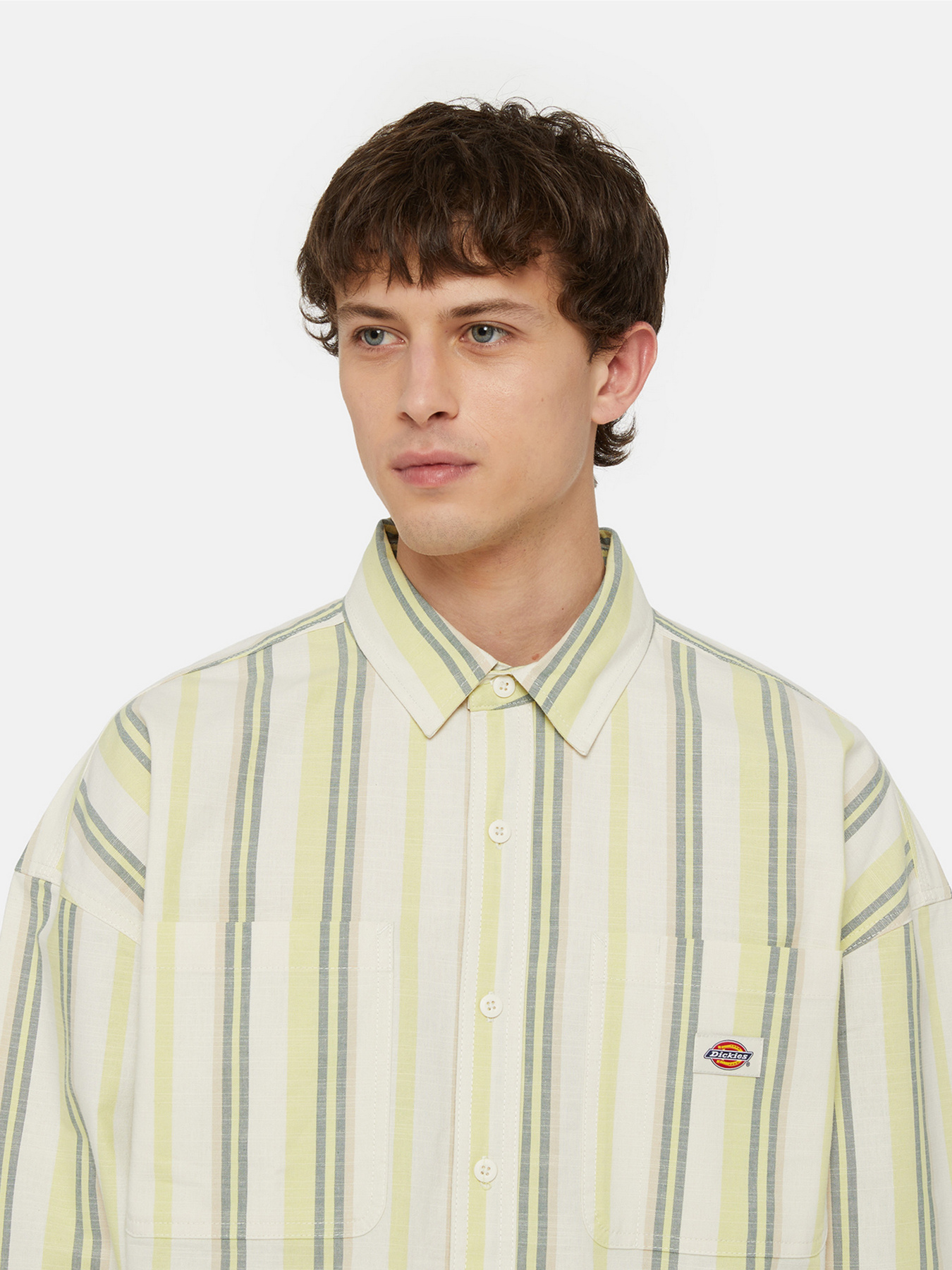 Сорочка повсякденна Dickies Glade Spring Ls модель DK0A4YS2J481 Фото