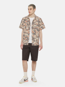 Рубашка повседневная Dickies Sleeve Saltville модель DK0A4YS3H971 Фото