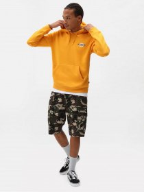 Шорти Dickies Millerville модель DK0A4XEDCF01 Фото