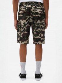 Повсякденні шорти Dickies Millerville модель DK0A4XEDCF01 Фото