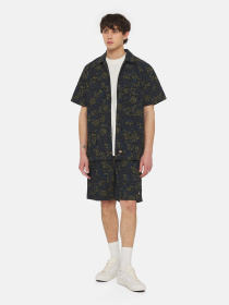 Рубашка Dickies Sleeve Saltville модель DK0A4YS3J461 Фото