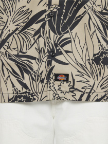 Рубашка повседневная Dickies Max Meados Ss модель DK0A4YS4H611 Фото