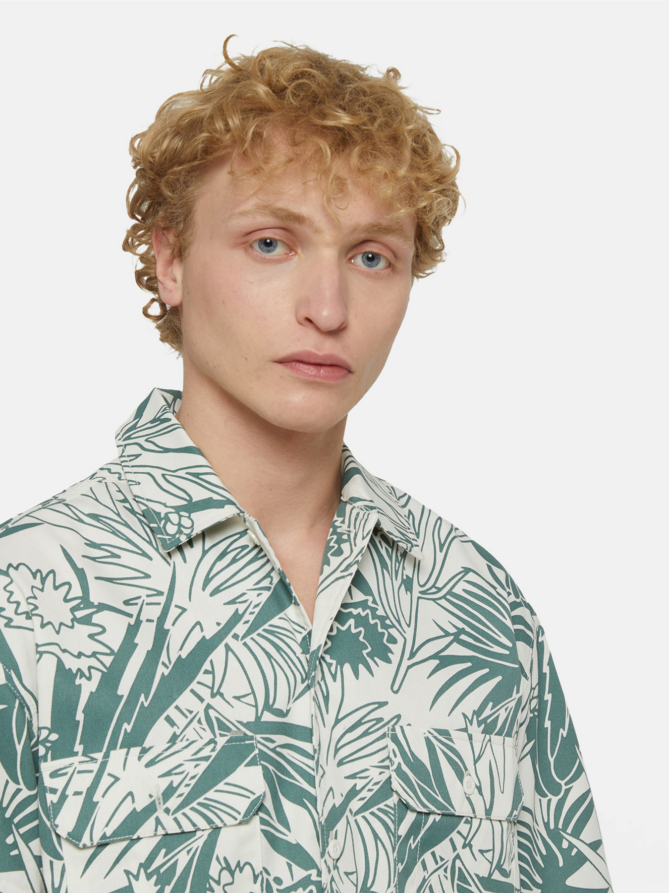 Сорочка Dickies Max Meados Ss Модель DK0A4YS4J451 Фото