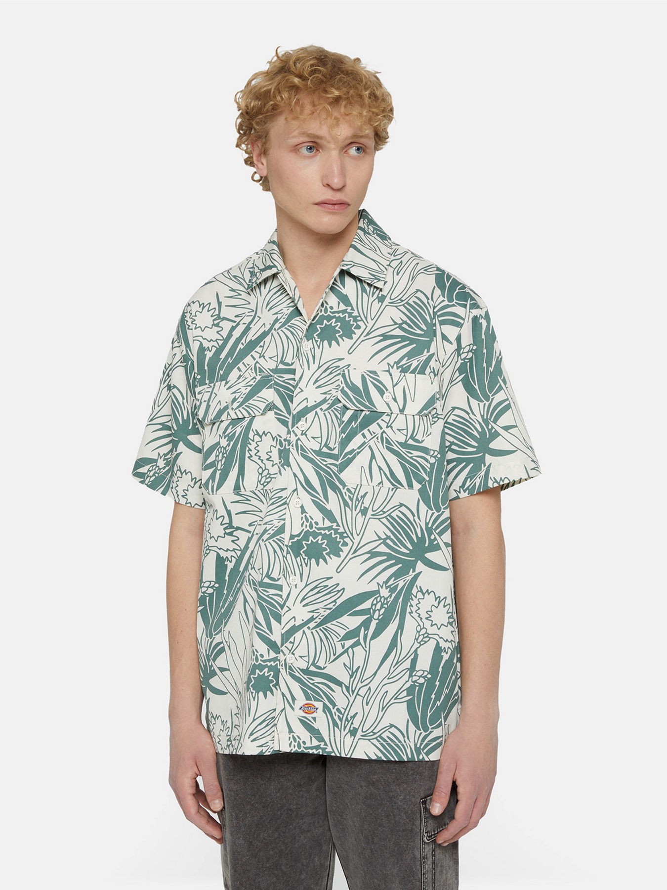 Сорочка Dickies Max Meados Ss Модель DK0A4YS4J451 Фото