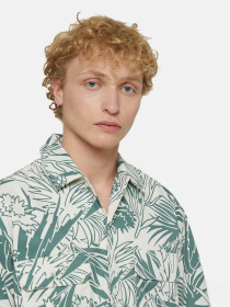 Рубашка повседневная Dickies Max Meados Ss модель DK0A4YS4J451 Фото