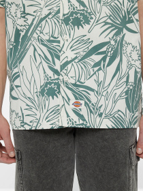 Рубашка повседневная Dickies Max Meados Ss модель DK0A4YS4J451 Фото