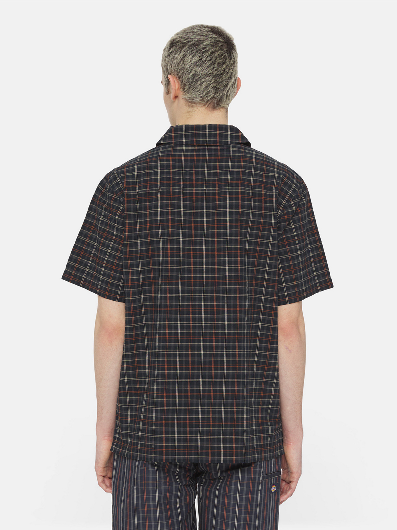 Рубашка Dickies Surry Ss модель DK0A4YS5H761 Фото