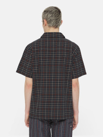 Рубашка Dickies Surry Ss модель DK0A4YS5H761 Фото