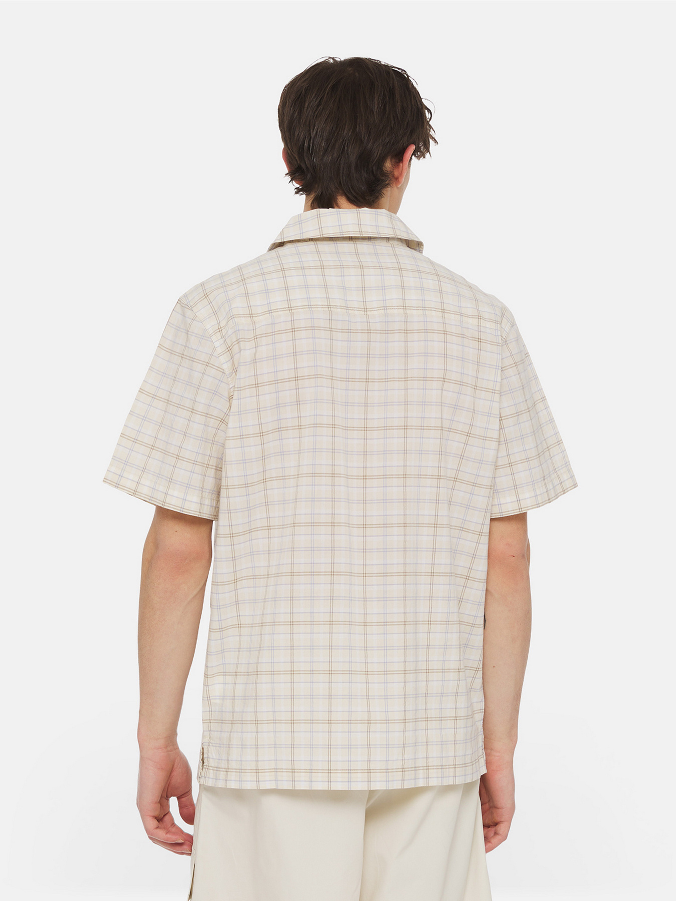 Сорочка Dickies Surry Ss Модель DK0A4YS5H771 Фото