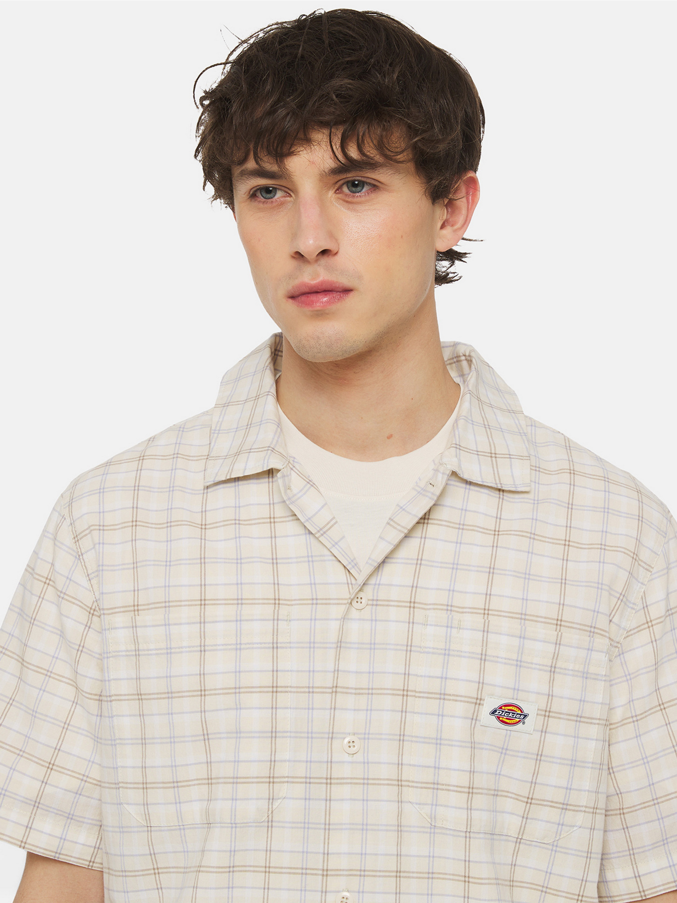 Сорочка в клітинку Dickies Surry Ss модель DK0A4YS5H771 Фото