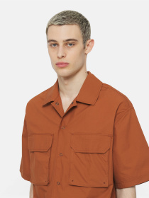 Рубашка Dickies Fishersville модель DK0A4YS6H161 Фото