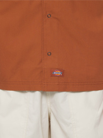 Рубашка Dickies Fishersville модель DK0A4YS6H161 Фото