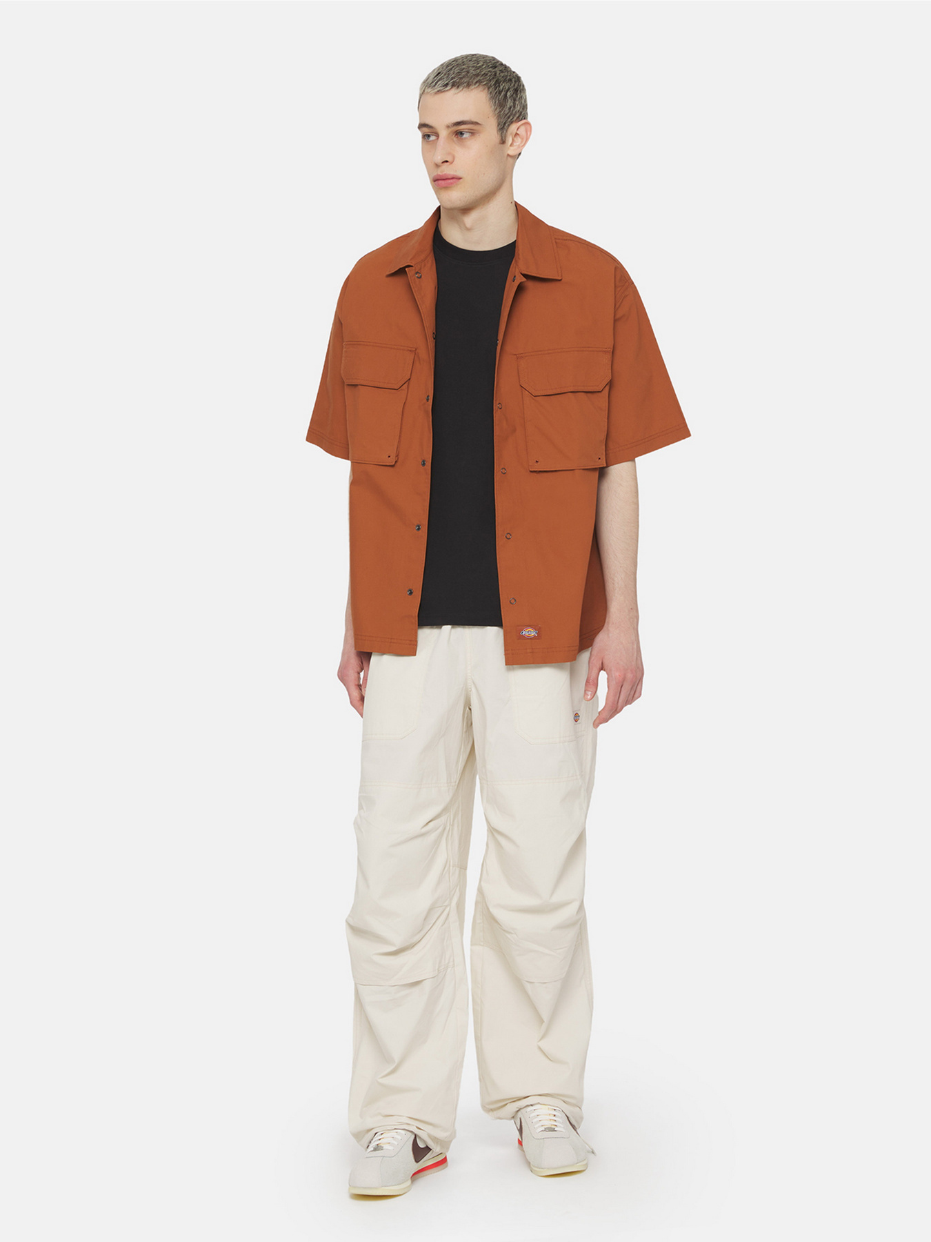 Карго Dickies Fishersville модель DK0A4YSDF901 Фото