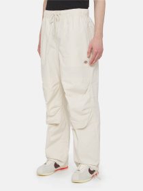 Карго Dickies Fishersville модель DK0A4YSDF901 Фото